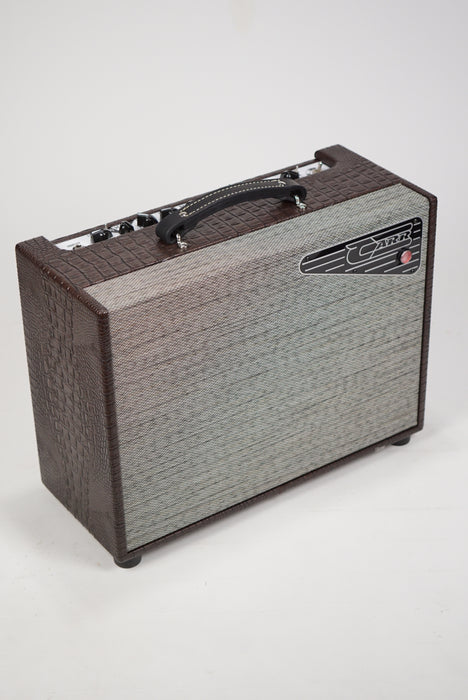 Beizray Box Carr Bel Ray 1-12 Combo - Brown Gator — Northern Lights Music