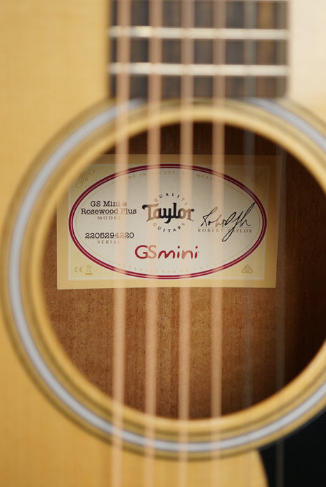 Taylor GS Mini-e Rosewood Plus