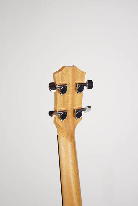 GS Mini-e Bass