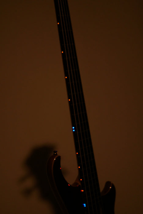 Alembic King 5 Bass