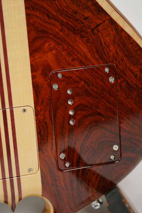 Alembic LSG6II Long scale Series II Guitar