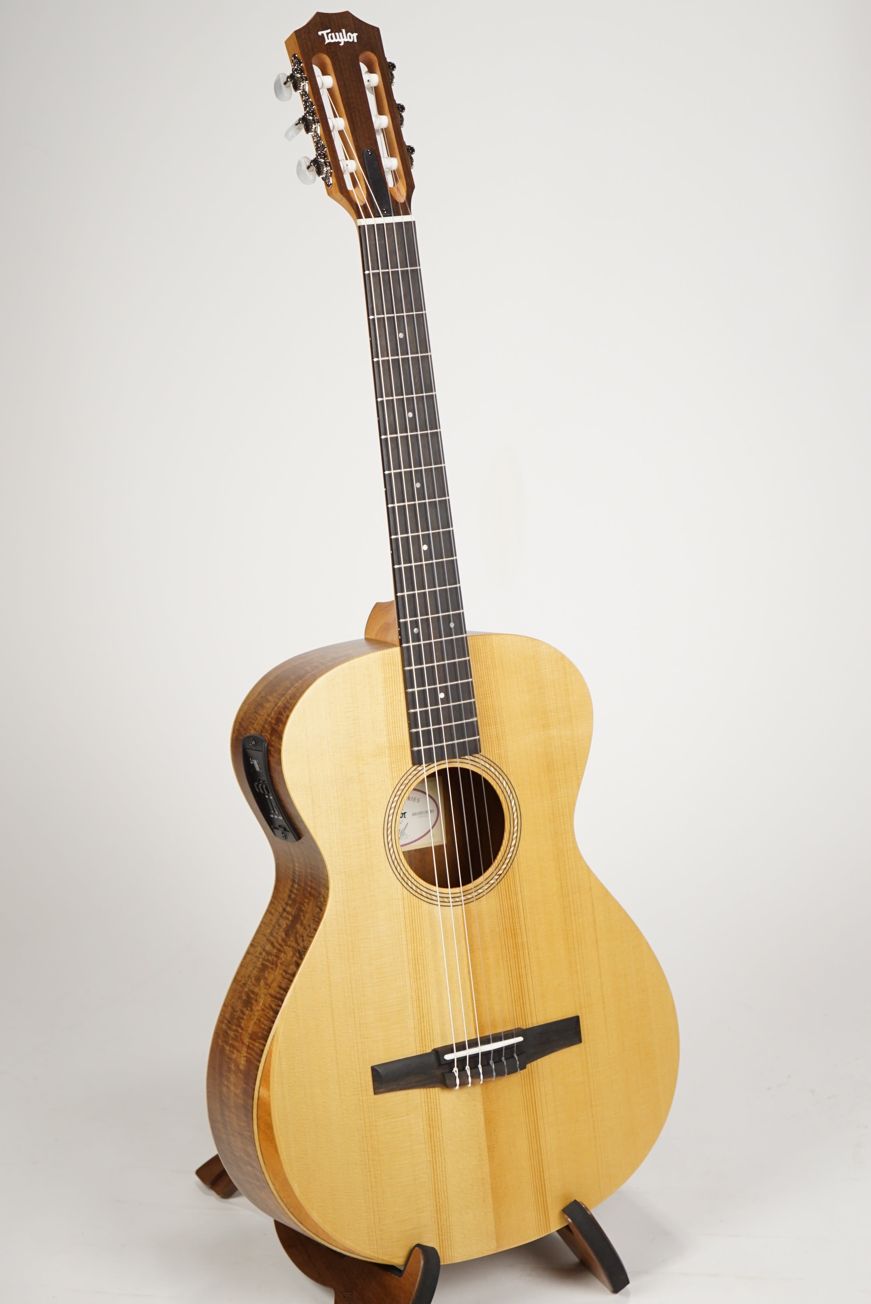 300 Series Acoustic Guitars | Taylor Guitars