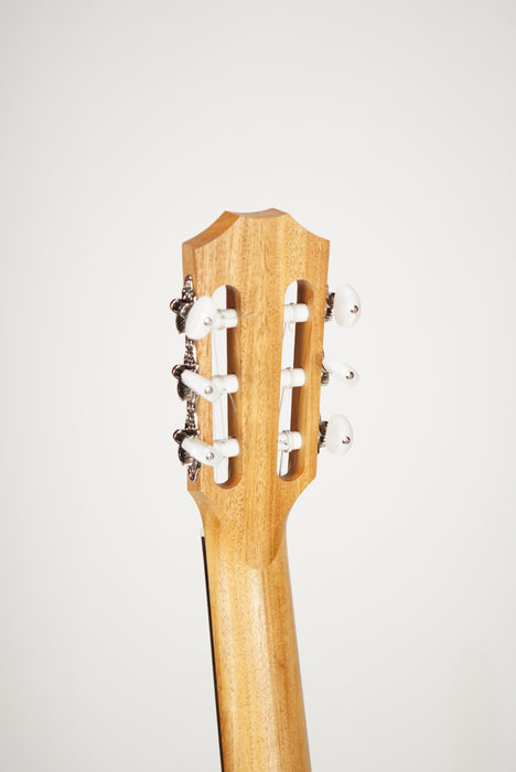 Taylor Academy 12e-N LTD