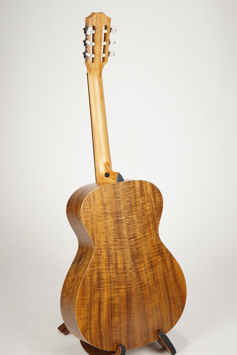Taylor Academy 12e-N LTD