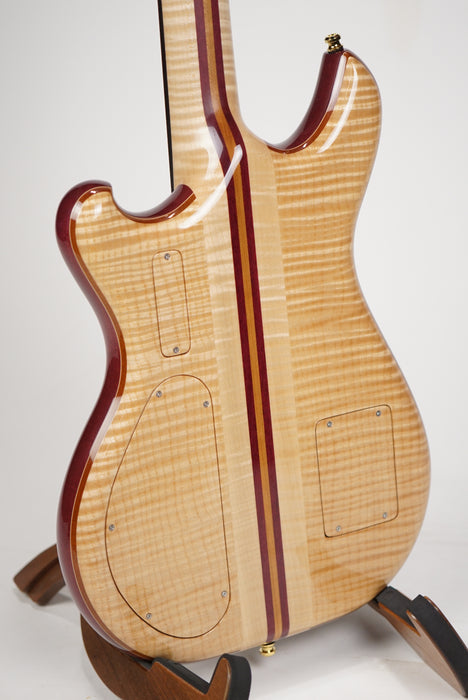 Alembic Further - Buckeye Resin Top