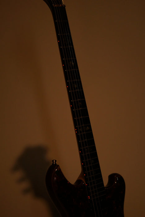 Alembic Further - Buckeye Resin Top