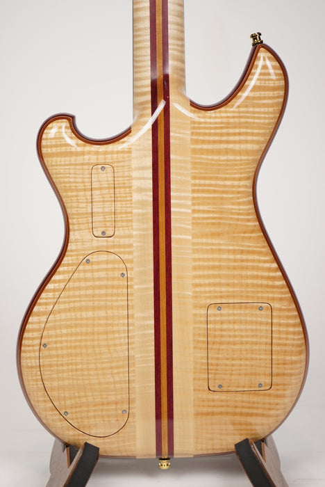 Alembic Further - Buckeye Resin Top