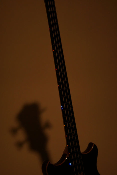 Alembic Stanley Clarke Deluxe - Cocobolo