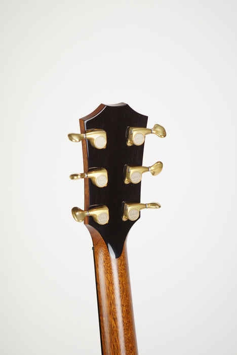 2019 Taylor PS14ce Cocobolo