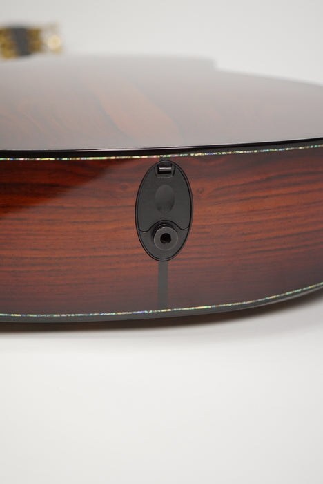 2019 Taylor PS14ce Cocobolo