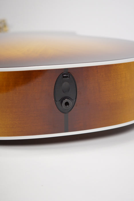 2022 Taylor 224ce-UA DLX LTD