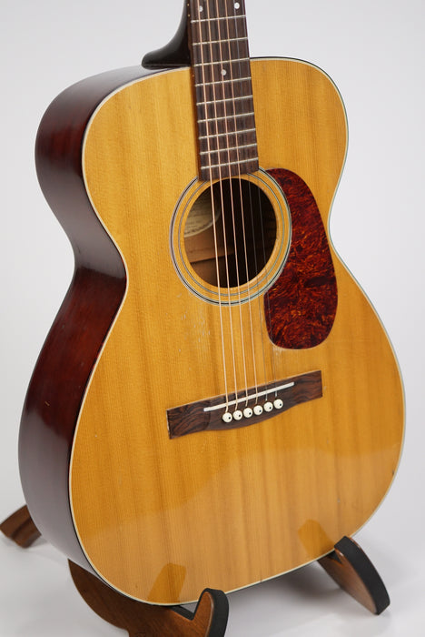 1965 Guild F-20 NT