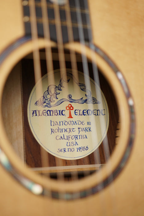 Alembic Element Acoustic Guitar | Cocobolo