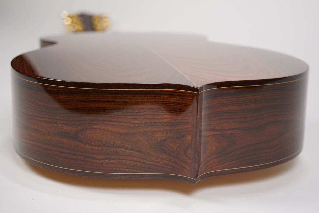Alembic Element Acoustic Guitar | Cocobolo
