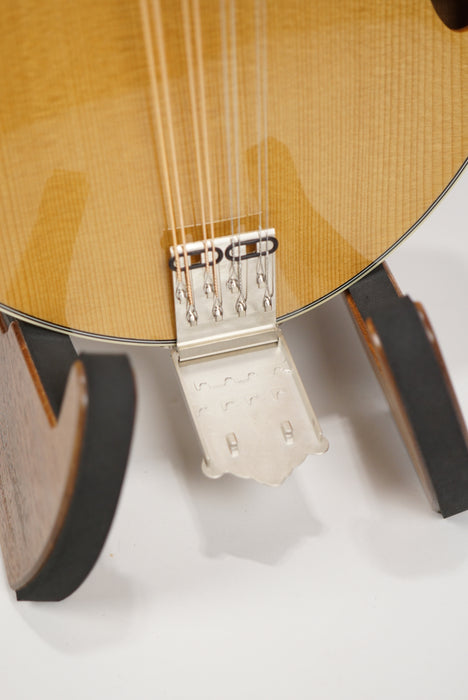 Bourgeois Touchstone M5-F F Style Mandolin