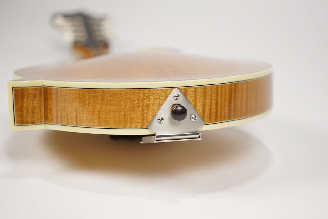 Bourgeois Touchstone M5-F F Style Mandolin