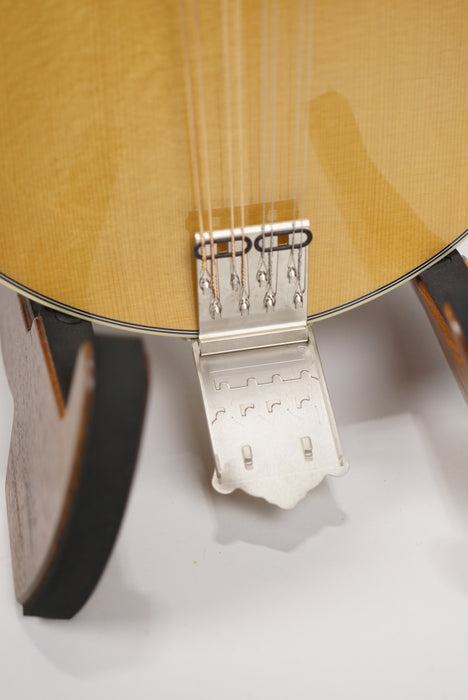 Bourgeois Touchstone M5-A A Style Mandolin