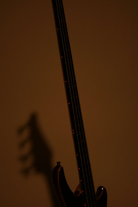 Alembic Essence Bass