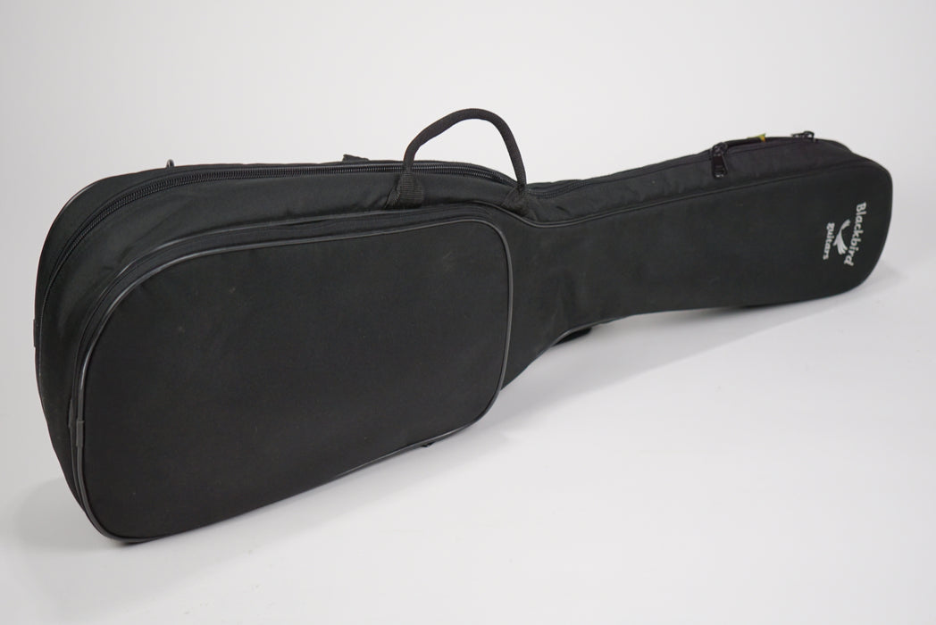 Blackbird Rider Carbon Fiber Guitar