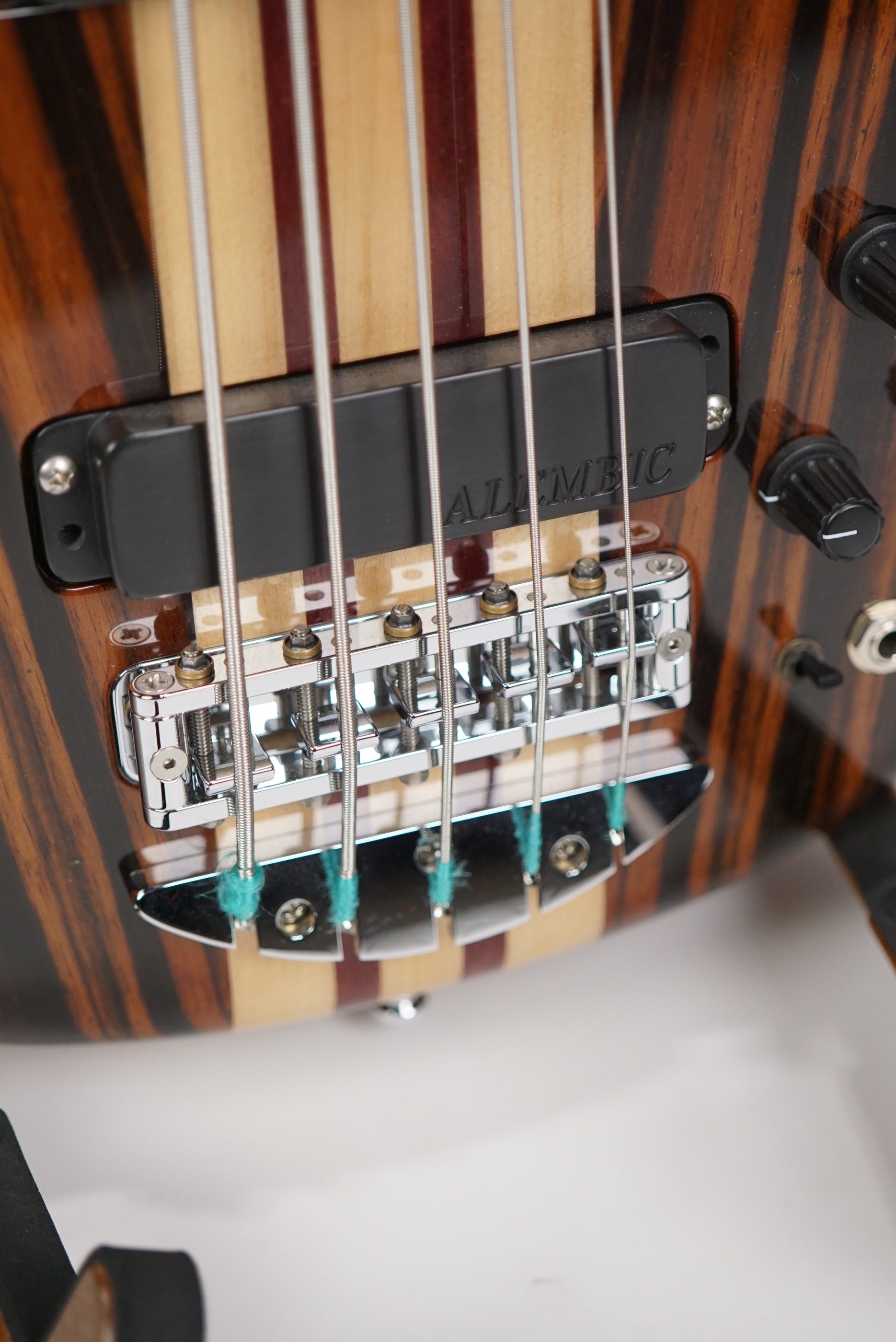 Alembic Essence Five String Bass — Northern Lights Music