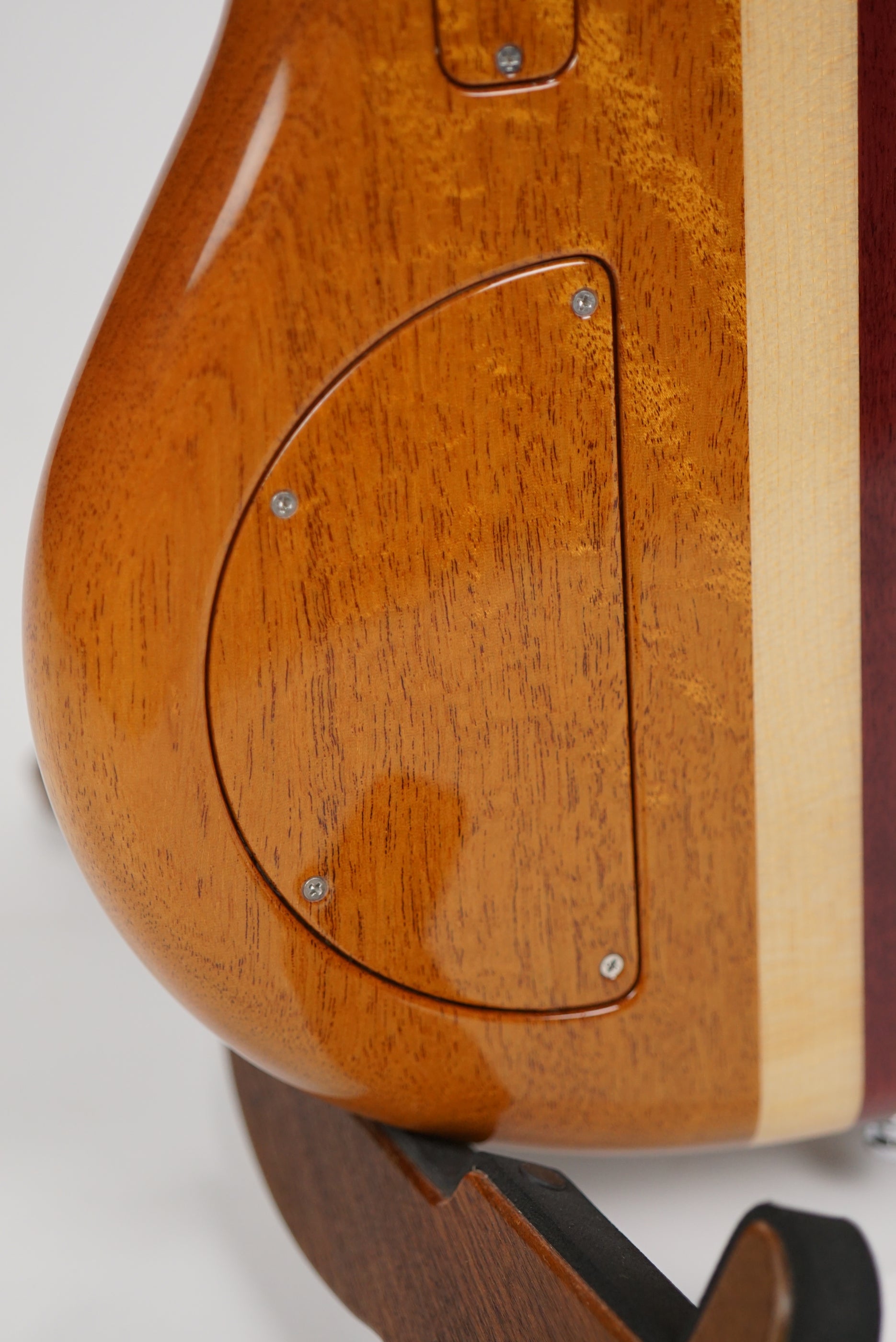 Alembic Instruments Alembic Essence Five String Bass — Northern Lights Music