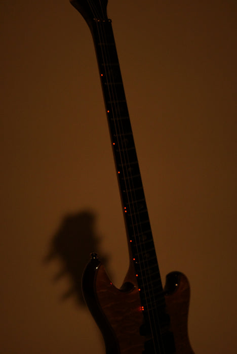 Alembic Further 6-String Guitar