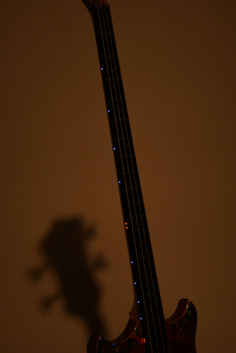 Alembic Clarke Deluxe -Buckeye Burl/Resin!