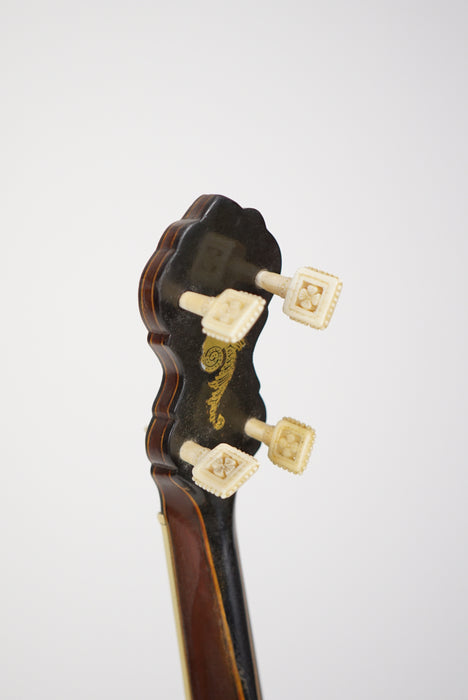 1890's Fairbanks "Special Electric" Banjo