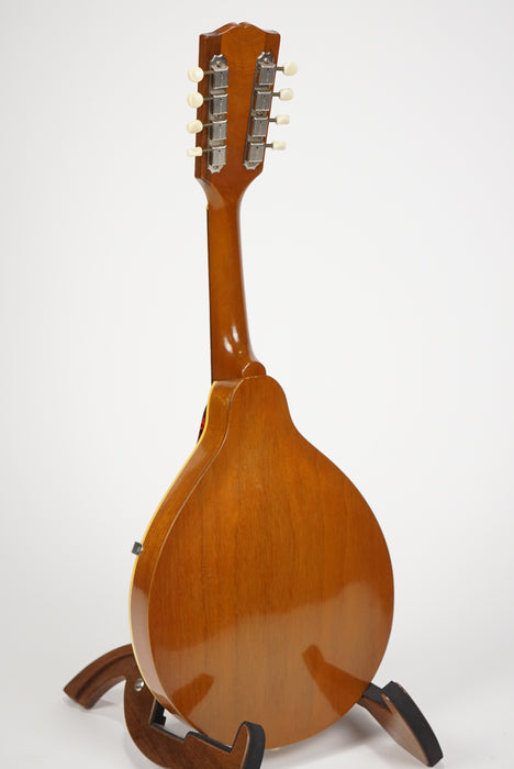 1960's Gibson A-40 A Style Mandolin