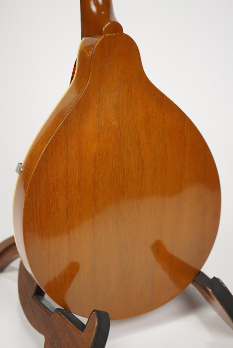 1960's Gibson A-40 A Style Mandolin
