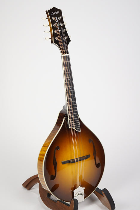 Collings MT2 Mandolin