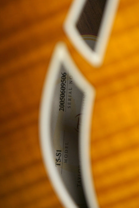 2005 Taylor T5-S1