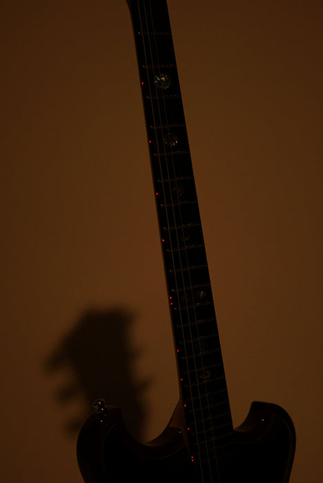 Alembic Skylark Guitar