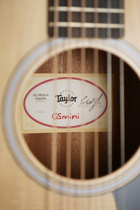 Taylor GS Mini-e Sapele