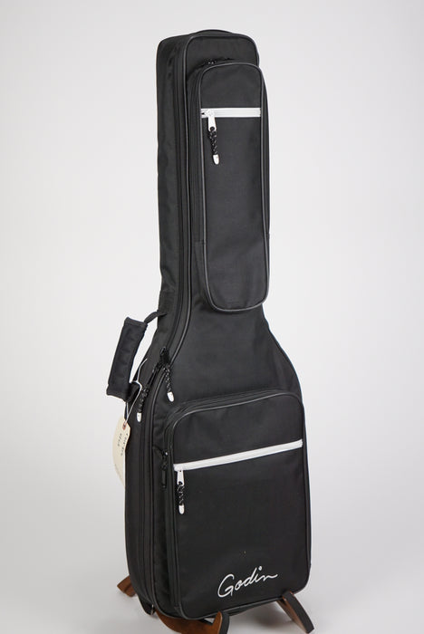 2017 Godin xsSA