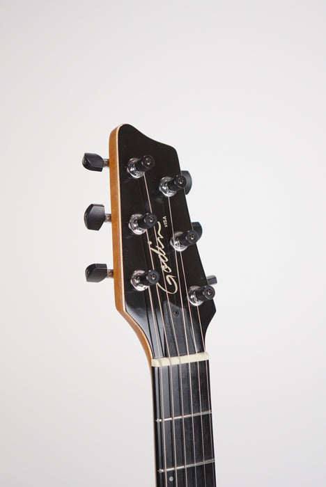 2017 Godin xsSA