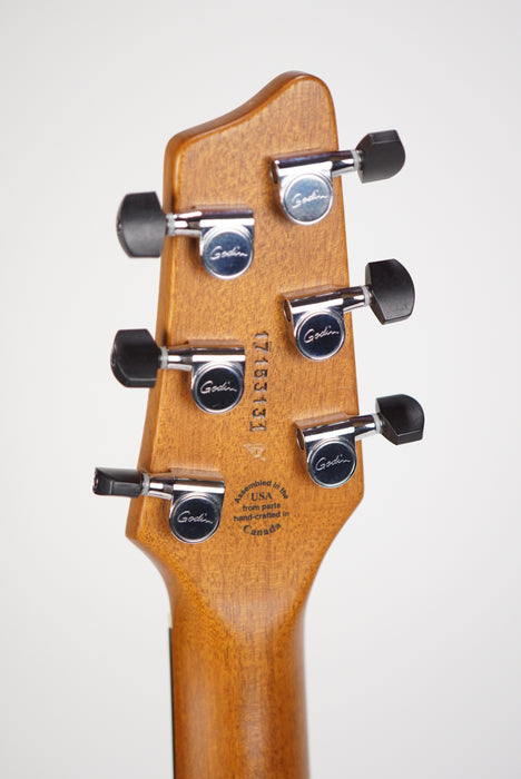 2017 Godin xsSA
