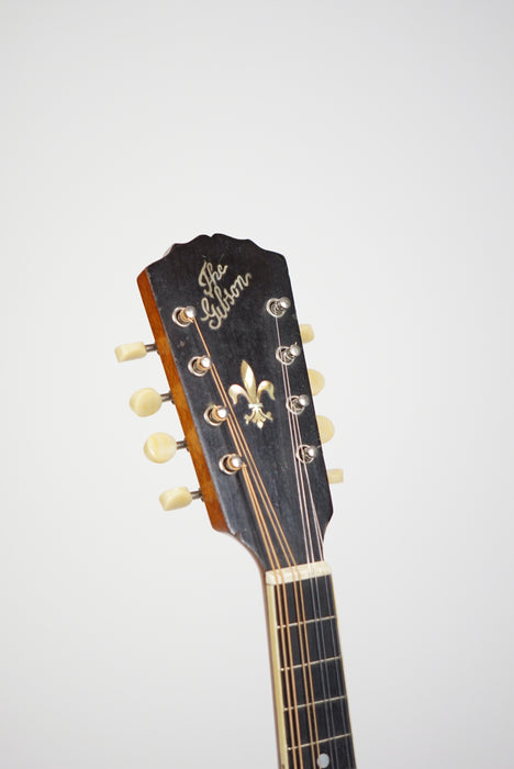 1920 Gibson A4 Mandolin