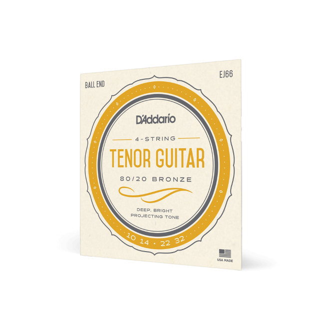 D'Addario EJ66 4 String Tenor Guitar Ball End 80/20 Bronze 10/32