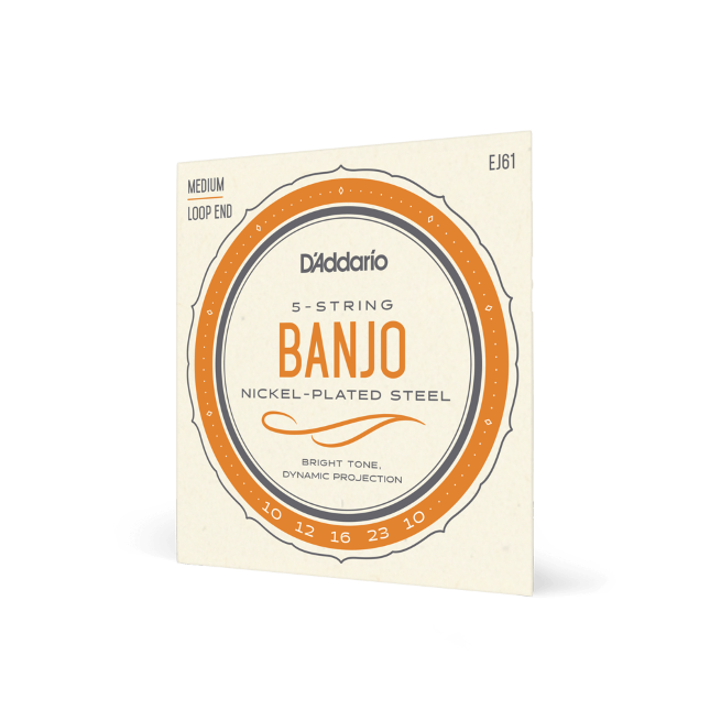 D'Addario EJ61 Medium Loop End 5 String Banjo 10's